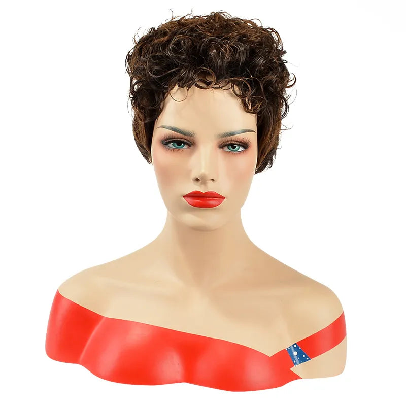 Natural African American Hairstyle Short Curly Wig