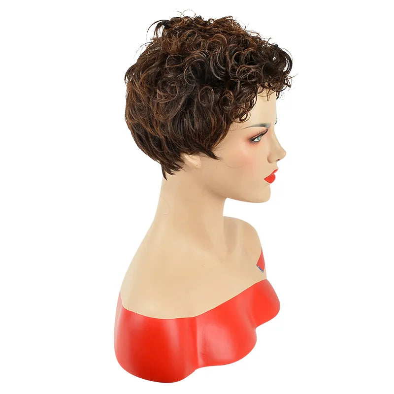 Natural African American Hairstyle Short Curly Wig