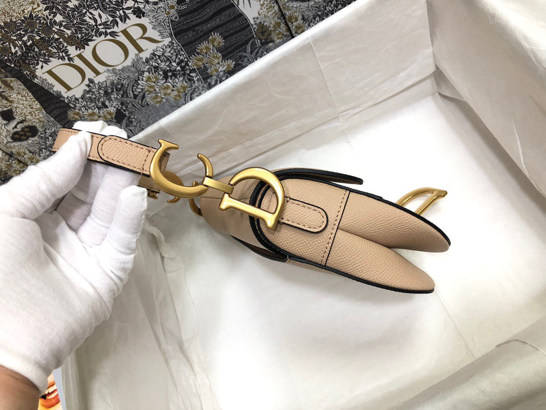 Dior Saddle Small Nude Color 21x18x5 cm